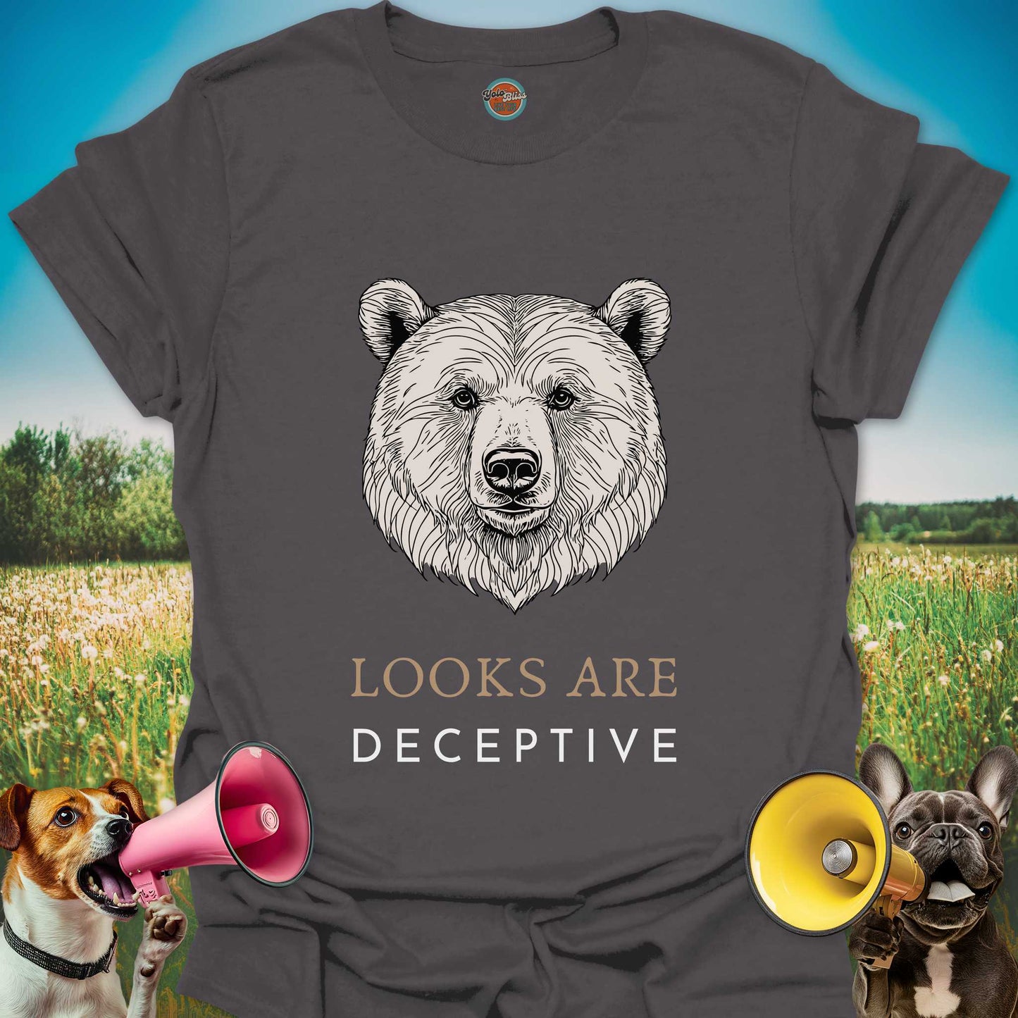 LOOKS ARE DECEPTIVE BEAR - Tee