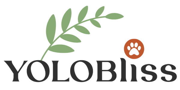 YOLOBliss
