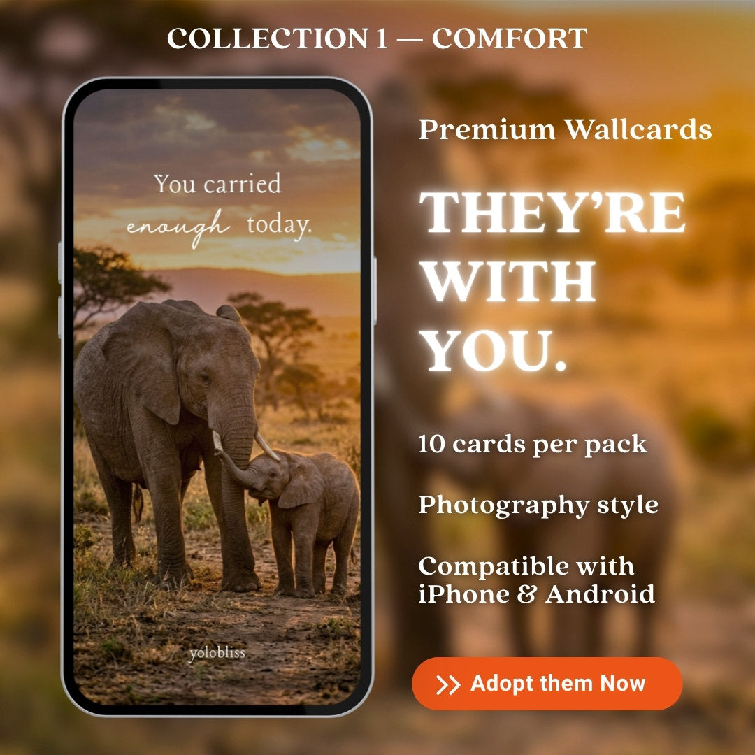 Photo Collection 1 — Comfort
