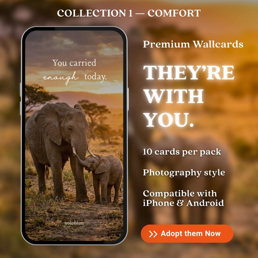 Photo Collection 1 — Comfort