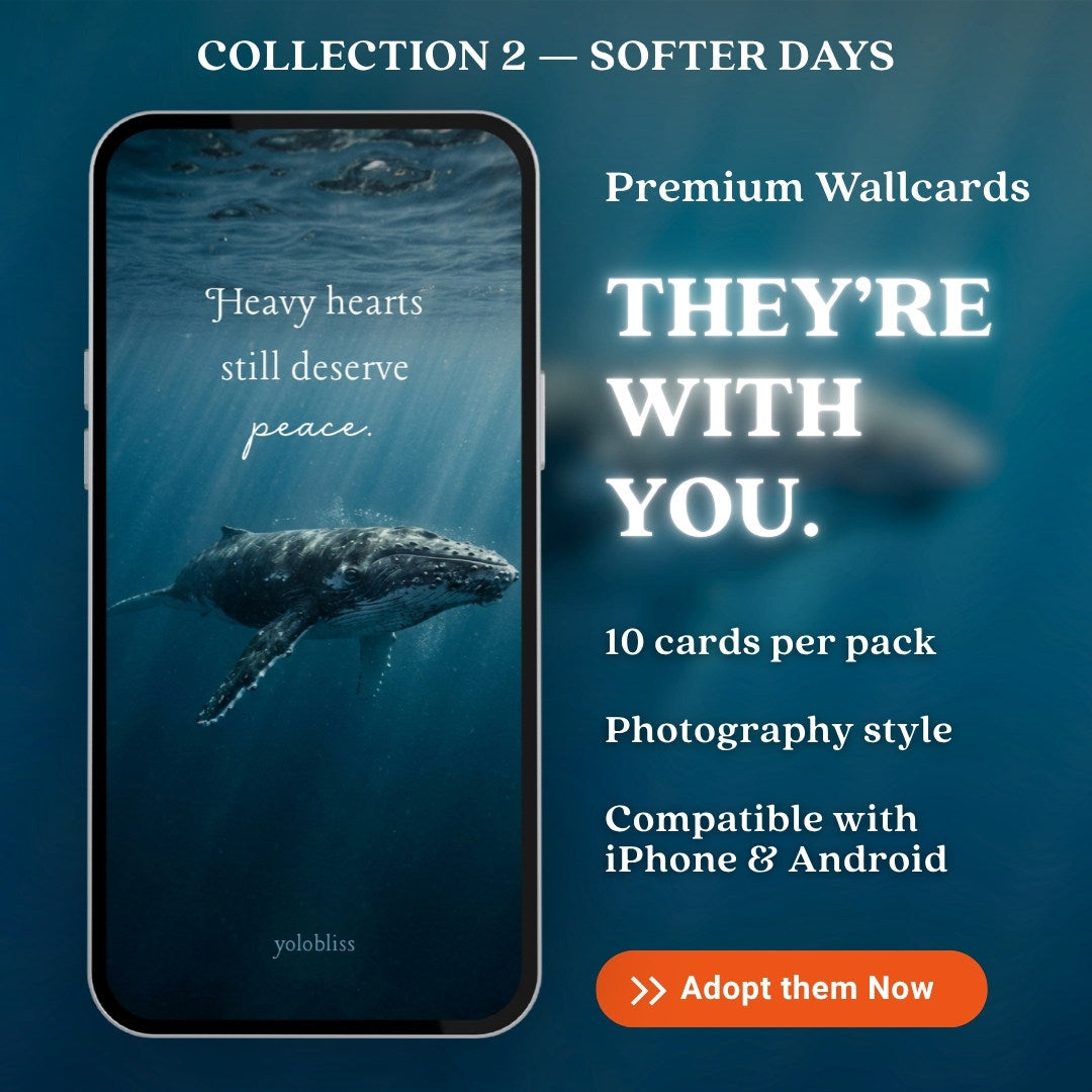 Photo Collection 2 — Softer Days