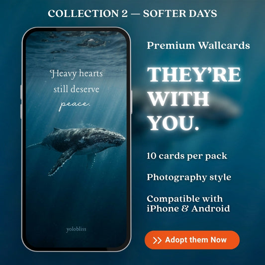 Photo Collection 2 — Softer Days