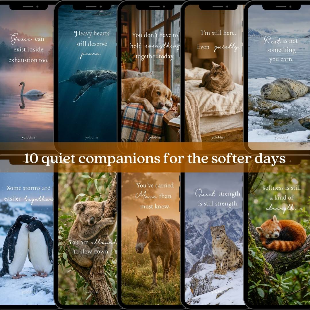 Photo Collection 2 — Softer Days