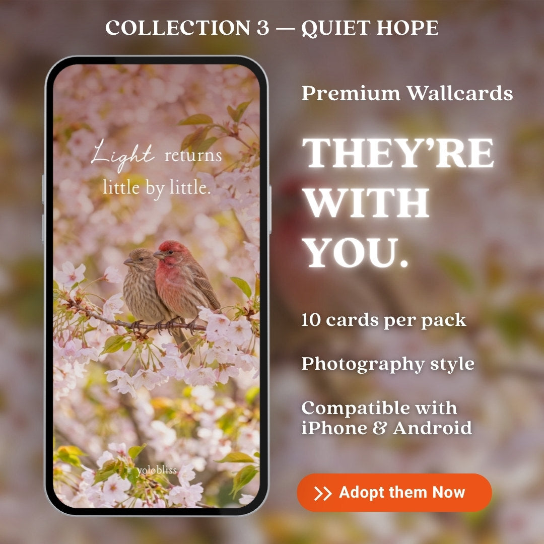 Photo Collection 3 — Quiet Hope