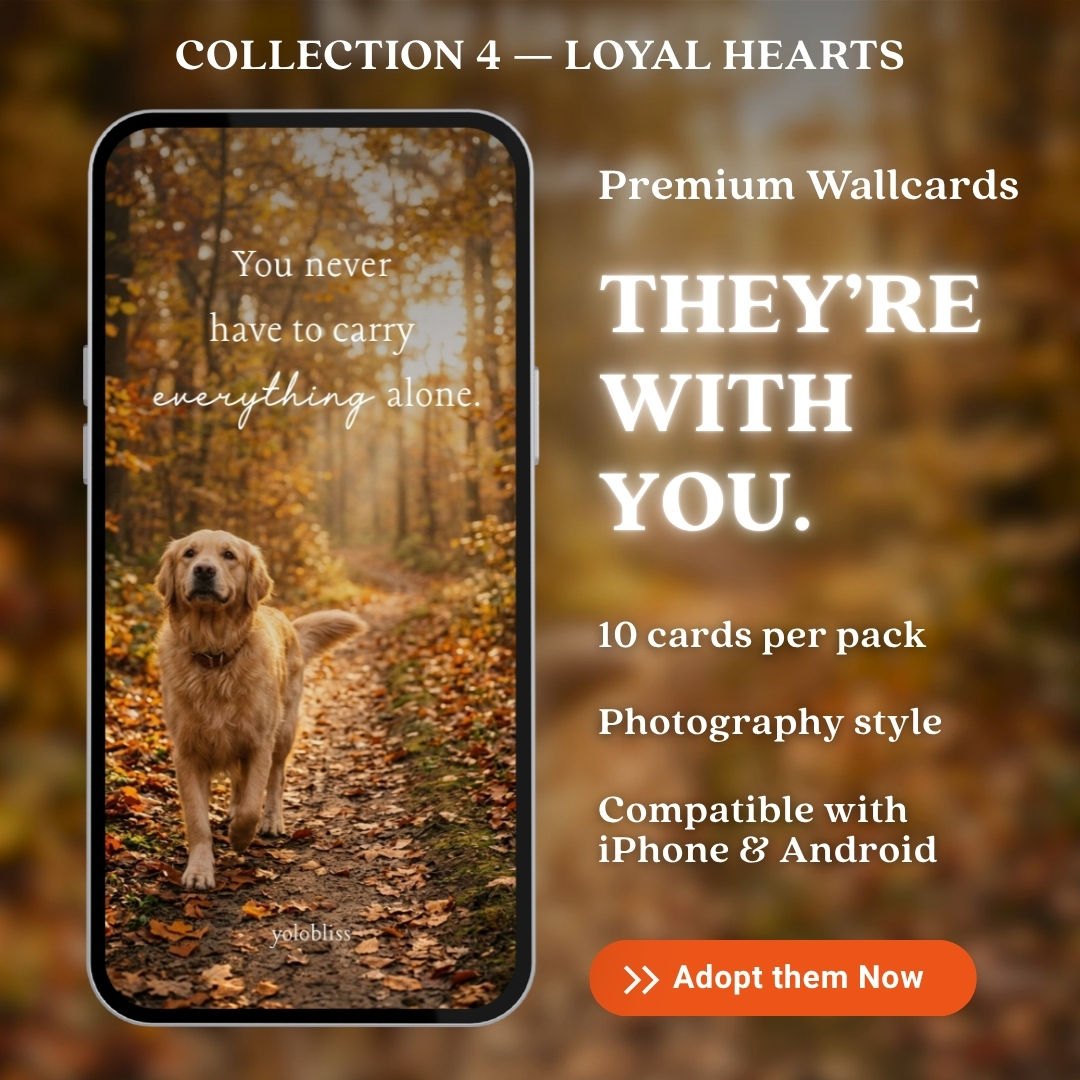 Photo Collection 4 — Loyal Hearts