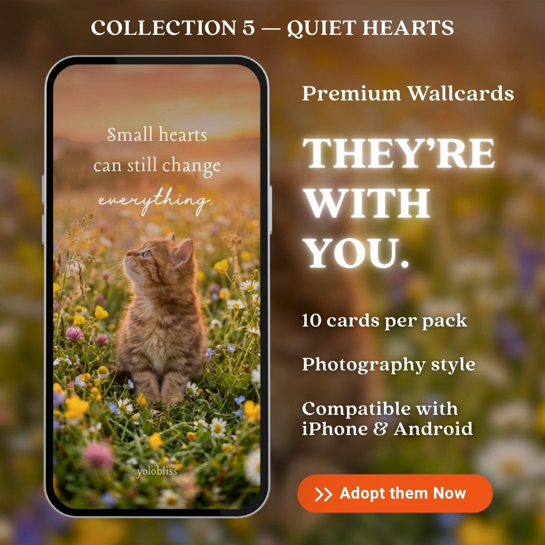 Photo Collection 5 — Quiet Hearts
