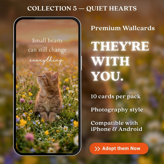 Photo Collection 5 — Quiet Hearts