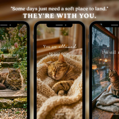 Photo Collection 5 — Quiet Hearts