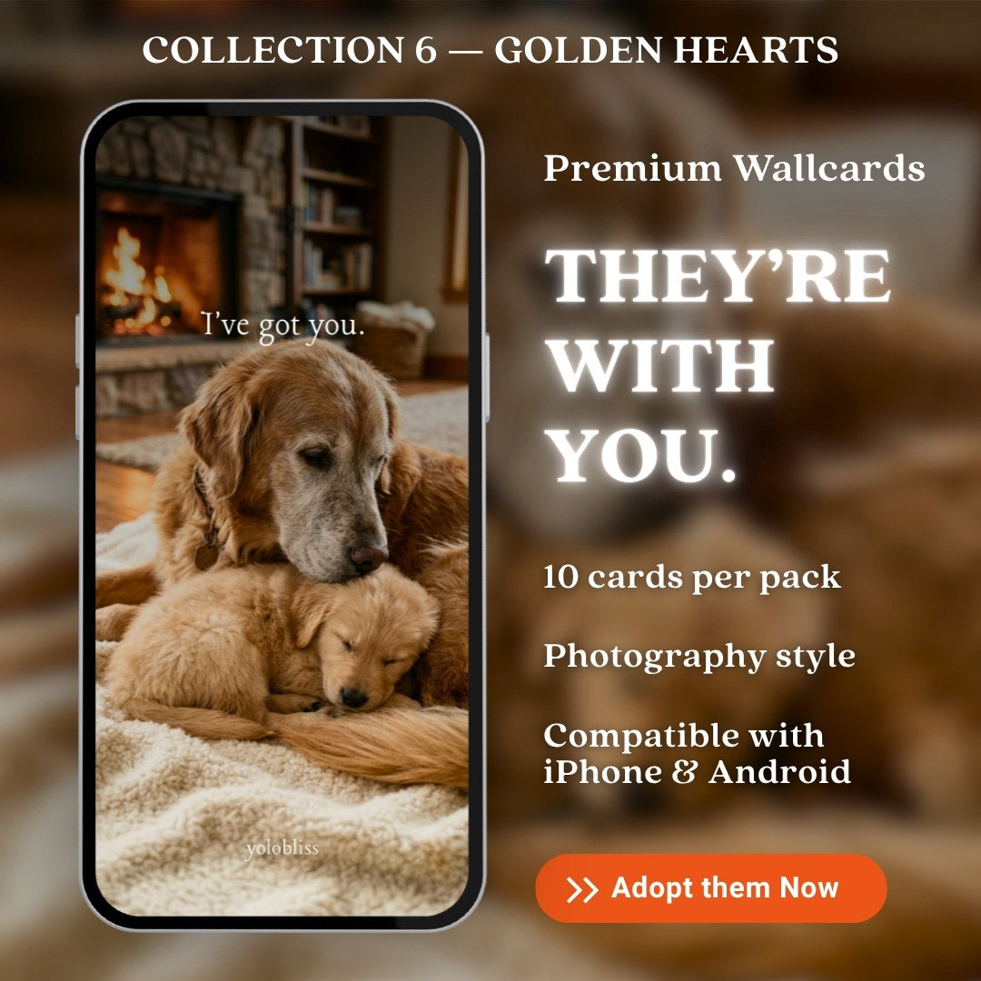 Photo Collection 6 — Golden Hearts