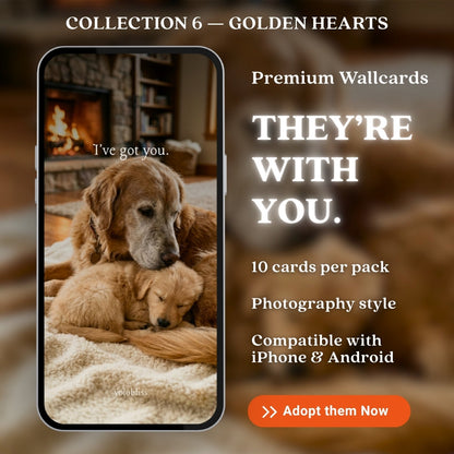 Photo Collection 6 — Golden Hearts