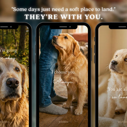 Photo Collection 6 — Golden Hearts