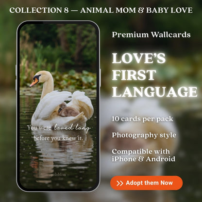 Photo Collection 8 — Love's First Language