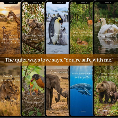 Photo Collection 8 — Love's First Language