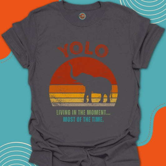 Gray t-shirt with 'YOLO' and an elephant graphic on a trendy sunset background